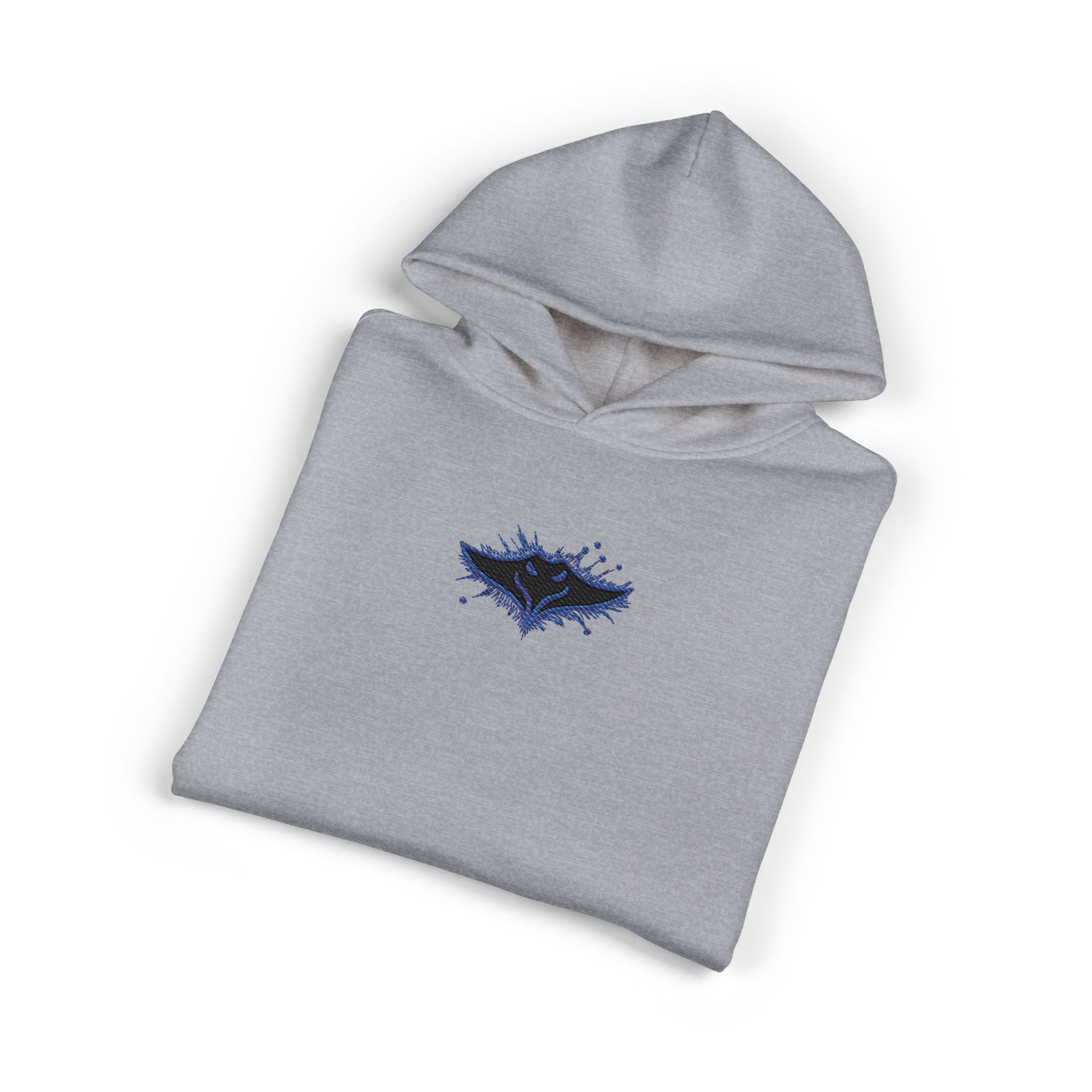 Ray Hoodie