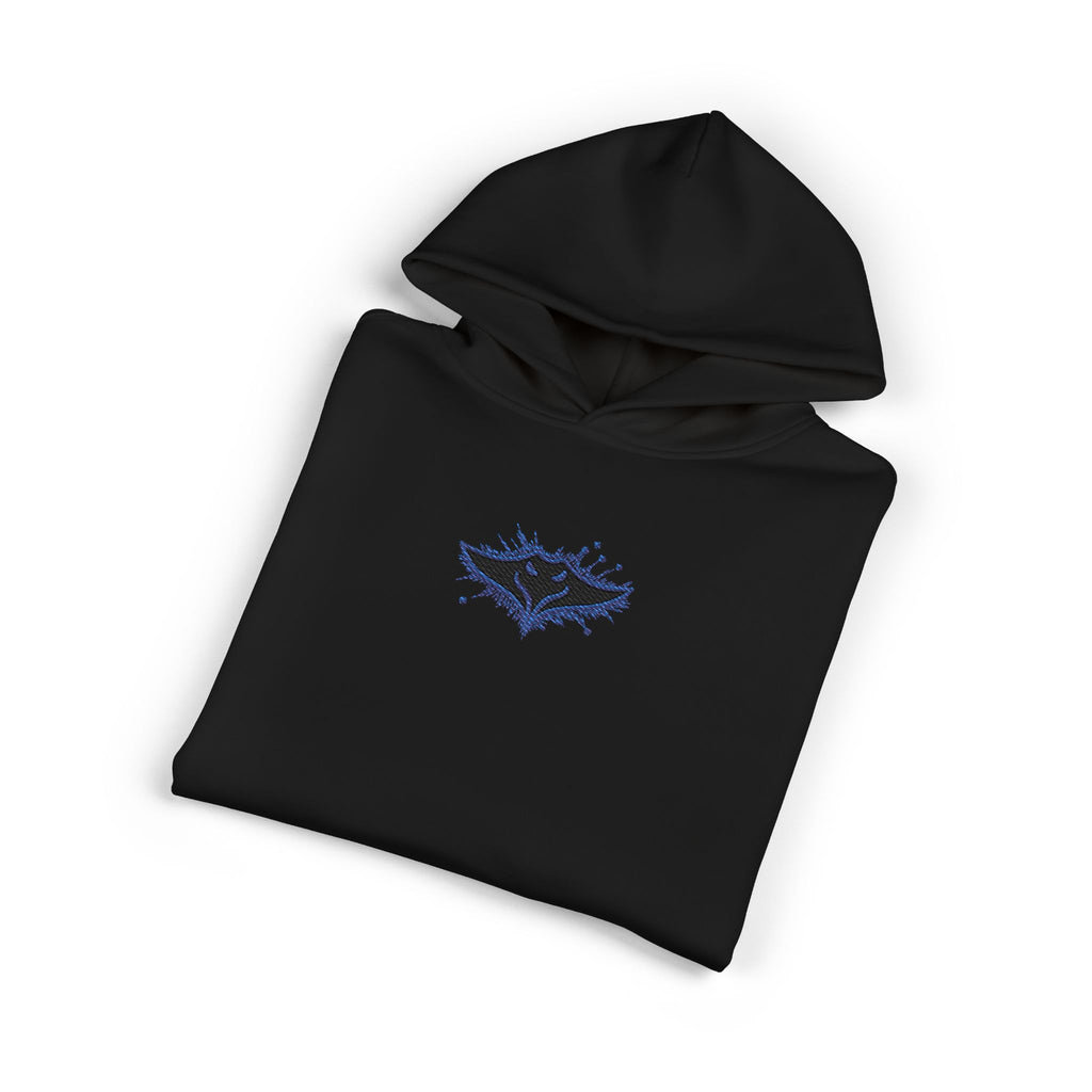 Ray Hoodie