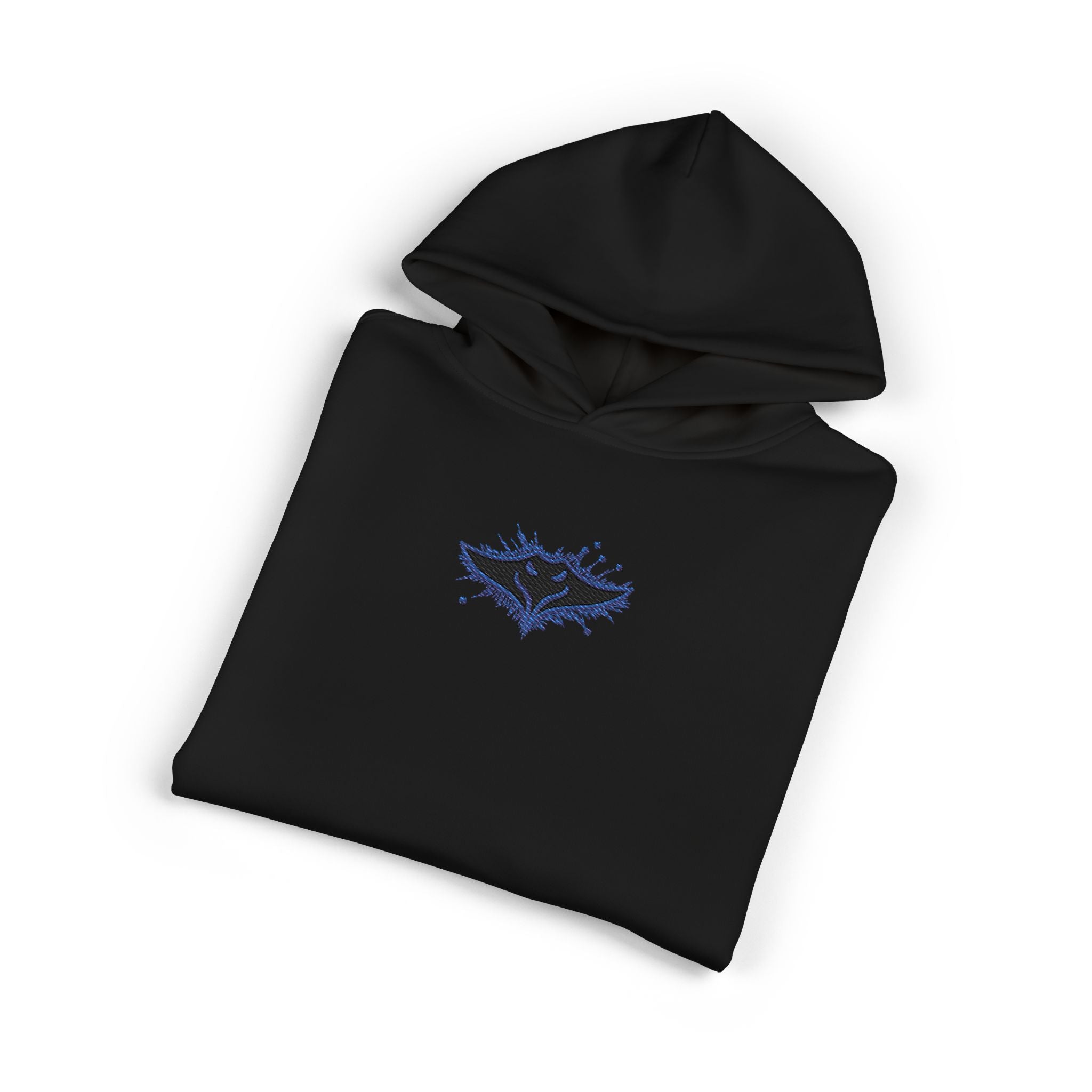 Ray Hoodie