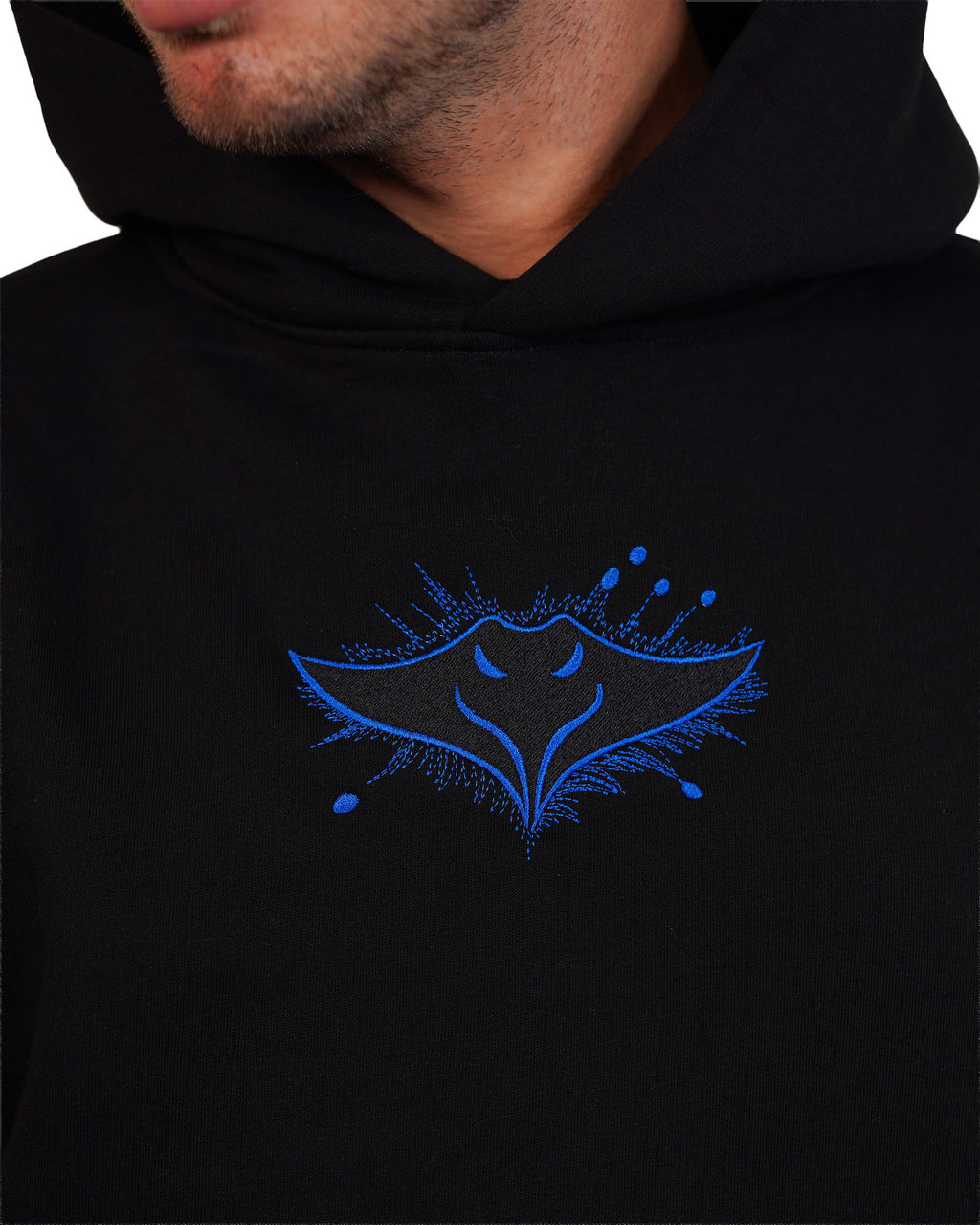Ray Hoodie