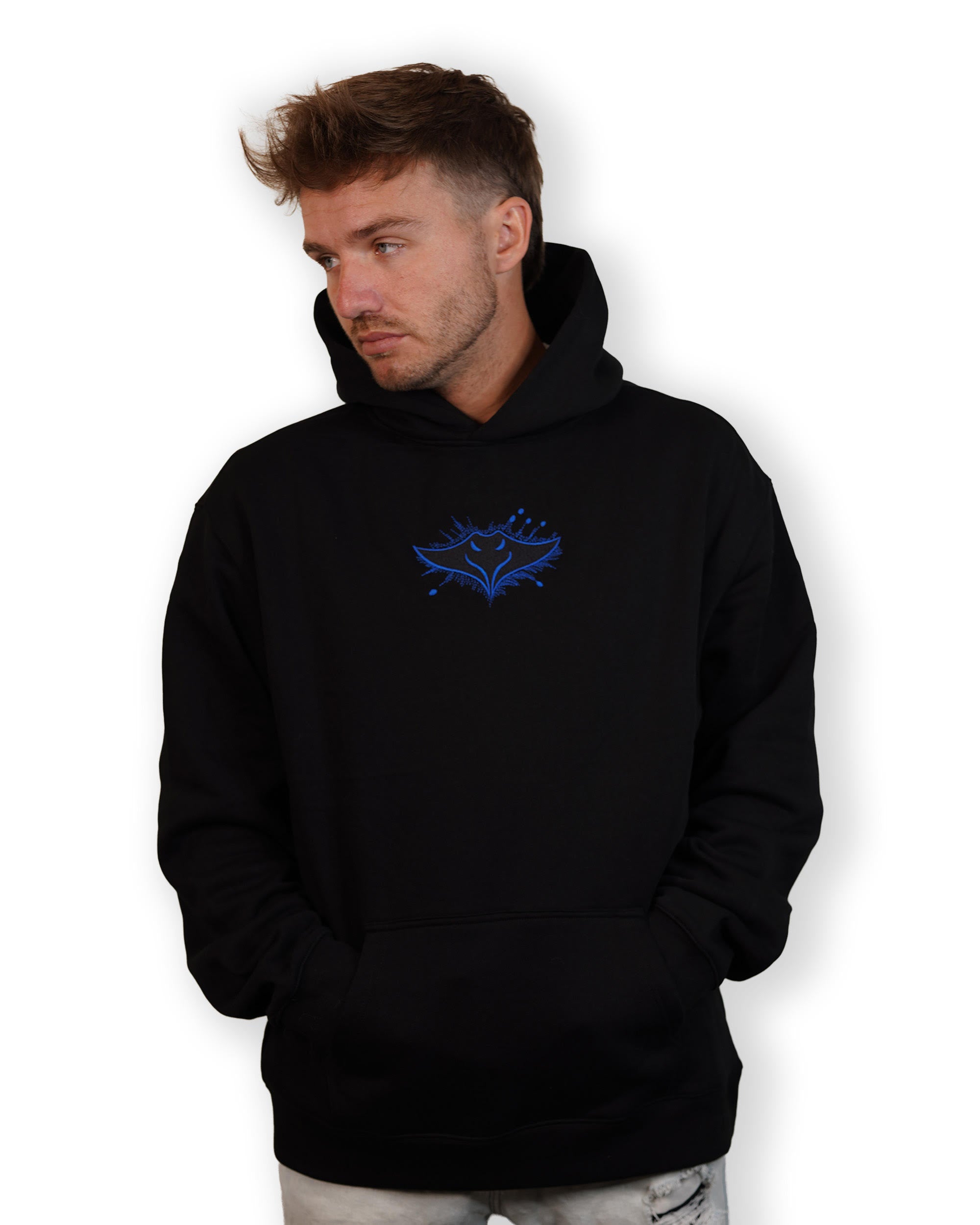Ray Hoodie